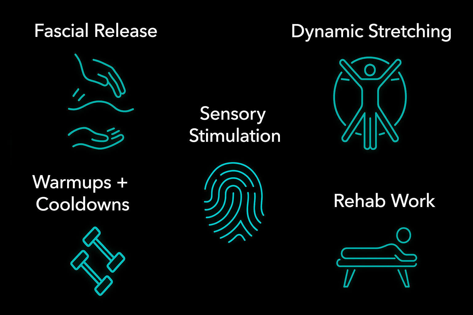 Fascial Flow & Biotensegrity